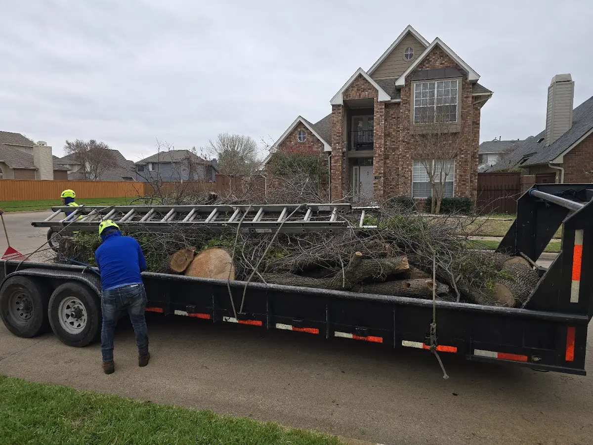 Expert Tree Removal with proper safety equipment in Lower Salem